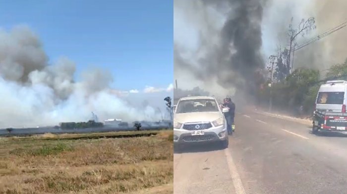 Senapred declara alerta roja por voraz incendio forestal en Lampa: Al menos 20 hectáreas consumidas