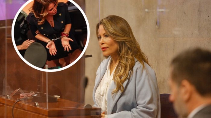 Cathy Barriga en la cárcel: Los seis delitos que se le imputan a la ex alcaldesa