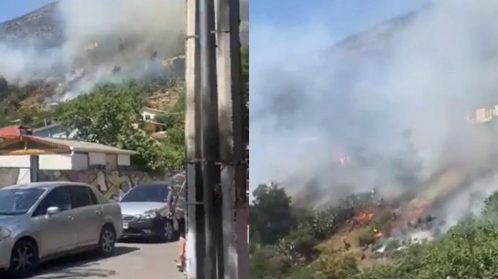 Decretan controlado incendio forestal en San José de Maipo