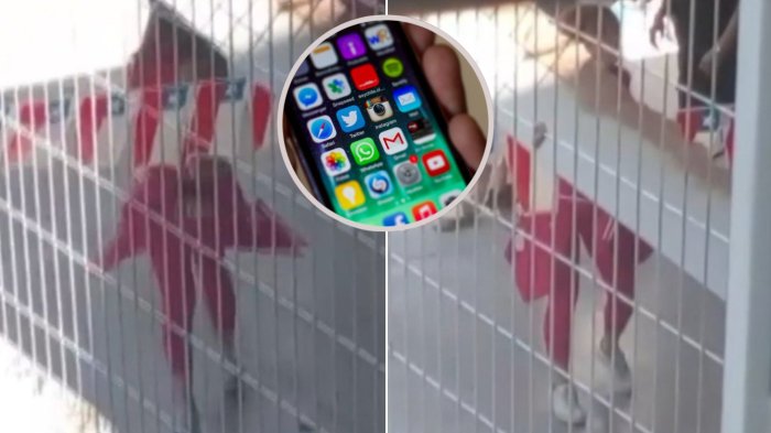 Tras viralizado baile de Cathy Barriga: Gendarmería incautó celular con el que se grabó a la ex alcaldesa de Maipú