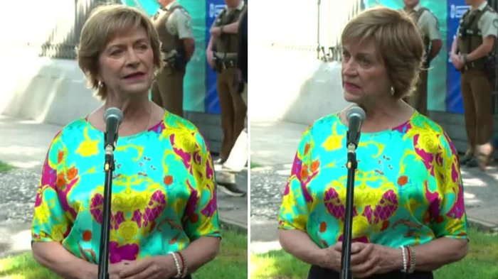 Matthei responde a dichos de Vodanovic por Francisco Orrego: “No caigamos en ese tipo de ataques”