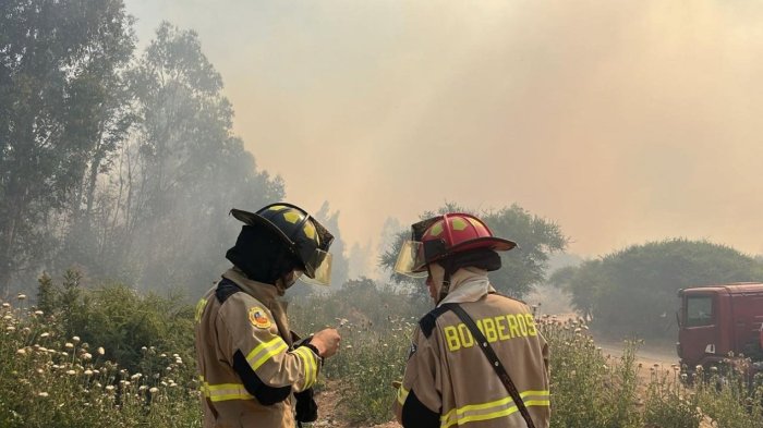 Senapred pide evacuar el sector de Santa Rosa en Valparaíso por incendio forestal