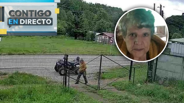 Adulta mayor desaparecida en Purranque: Familia solicita mayor rango de búsqueda