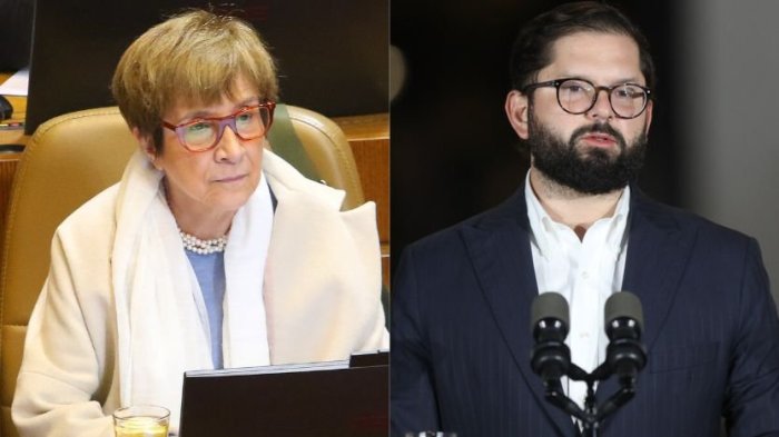 Carmen Hertz por denuncia contra pdte. Boric: “Uno de los entramados más asquerosos y miserables”