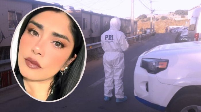 “Tenía toda una vida por delante con sus hijos”: Familia exige justicia tras femicidio de joven madre en Ovalle