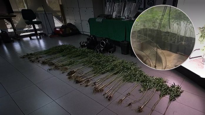 Por filtración de agua descubren laboratorio de cannabis en departamento de Las Condes