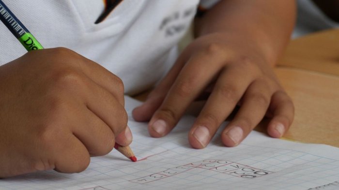 Aprendizajes de escolares de 8° básico en matemáticas retrocedieron 12 años en Chile, dice Estudio TIMSS