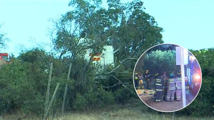 Camión se desbarrancó en camino Santa Martina de Lo Barnechea: 2 personas fallecieron