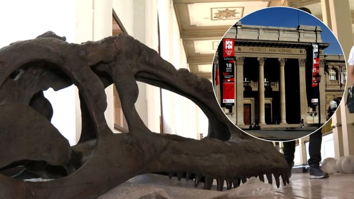 Inédita exposición de fósiles de dinosaurios: Conoce ACÁ como asistir en el Museo Nacional de Historia Natural