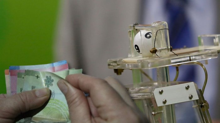 Revisa acá los RUT ganadores de La Suerte en Chile de este miércoles 11 de diciembre