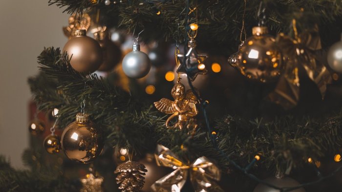 ¿Fan de las luces navideñas? Sigue estos consejos para evitar accidentes eléctricos en fin de año