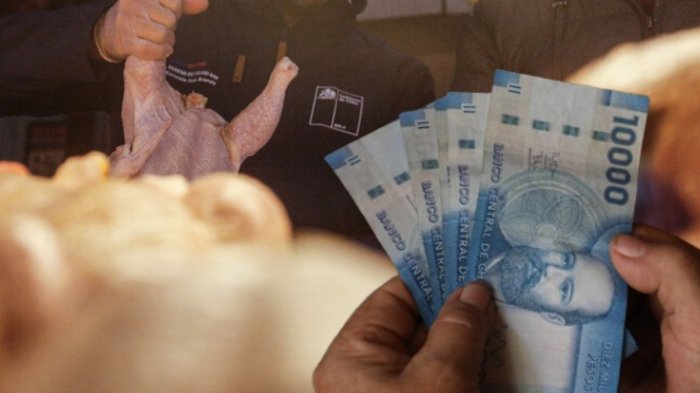 Compensación por colusión de pollos: Último plazo para recibir los $13 mil y quiénes lo obtienen