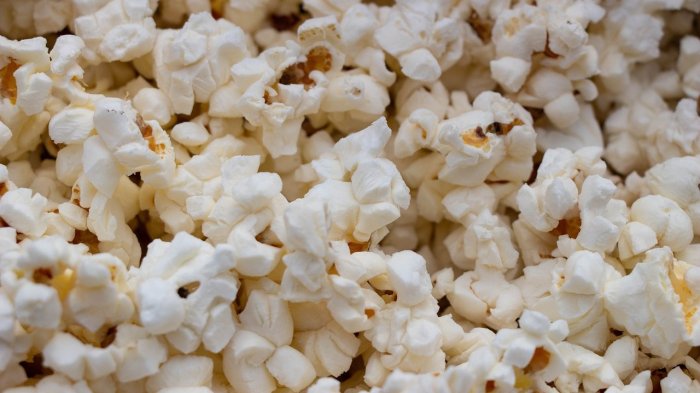 Para capear el calor: 10 películas para ver en familia durante Navidad