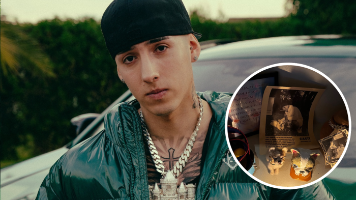 Pailita recuerda a su perrito Casti con impactante mensaje a un año de su muerte