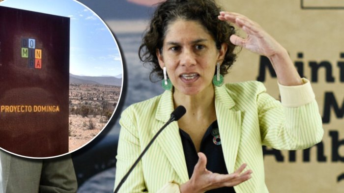 Maisa Rojas anuncia que Comité de Ministros se inhabilitará ante reevaluación de Dominga