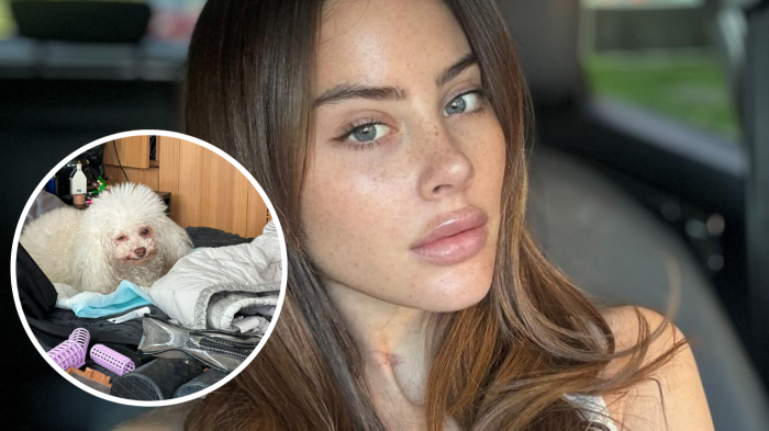 La trágica noticia que enluta a Ignacia Michelson: Falleció su perrita Mimi