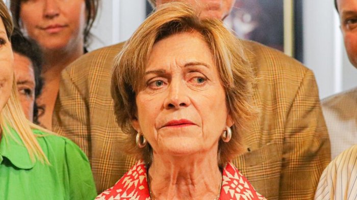 “No existe autocrítica”: Matthei apuntó a La Moneda tras crímenes en último fin de semana de 2024