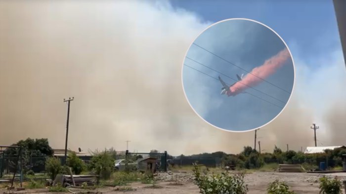 Declaran alerta roja en La Ligua por incendio forestal fuera de control