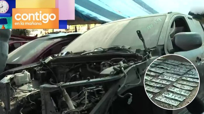 Más de 30 autos en desarmaduría ilegal en La Pintana dejó al administrador detenido