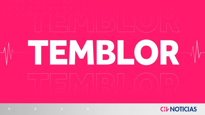 Sismo de gran magnitud sacude a Iquique: Esto dijo el SHOA por riesgo de tsunami