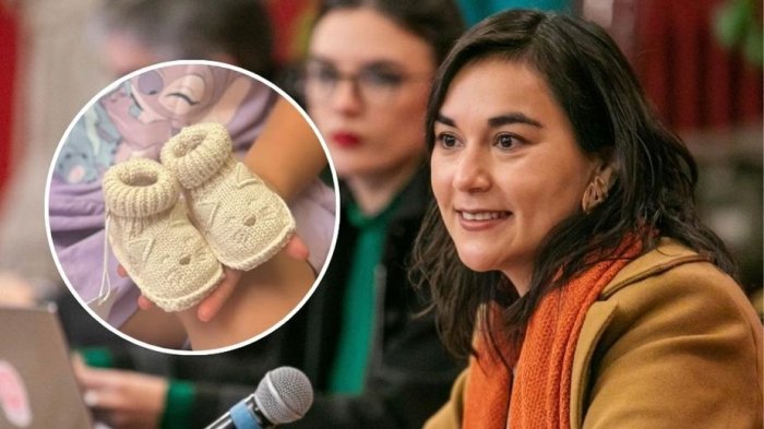 Izkia Siches anunció que se convertirá en madre por segunda vez: Pdte. Boric reaccionó con mensaje