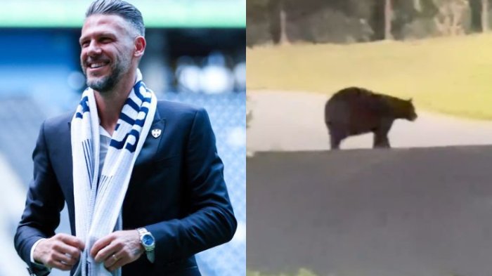“Se me salió el corazón”: El susto de Martín Demichelis y su familia al ver un oso en su propia casa