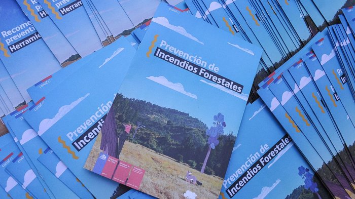 Emiten Alerta Preventiva por calor e incendios forestales en la región Metropolitana