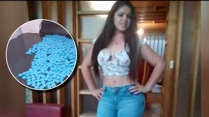 Así cayó la “Emperatriz del Éxtasis”: Distribuía droga en 10 regiones del país