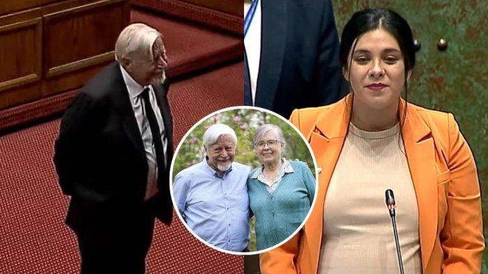 Emotivo juramento: Roberto Celedón asumió como diputado en reemplazo de su esposa Mercedes Bulnes