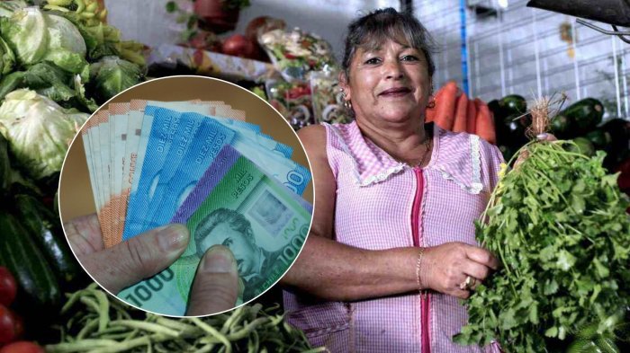 Conoce ACÁ las fechas de pago del Bono Mujer Trabajadora 2025 y quiénes lo reciben