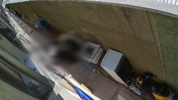 Minutos de terror: Video clave muestra ataque de pitbull a niño en Conchalí