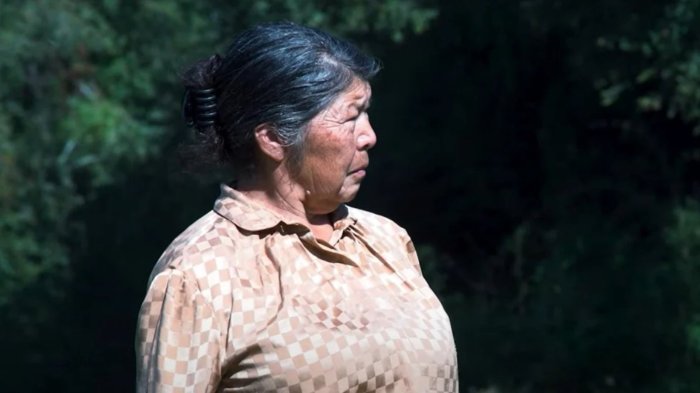 Fiscalía confirma activación de protocolo internacional en búsqueda de Julia Chuñil