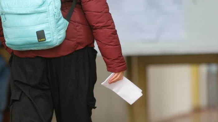 Bono por Formalización del Trabajo: Requisitos y cómo acceder al monto máximo de $297 mil