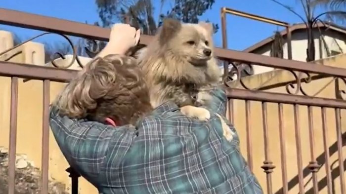 Esperanza entre la tragedia: Conmovedor reencuentro de hombre y su perrito en California
