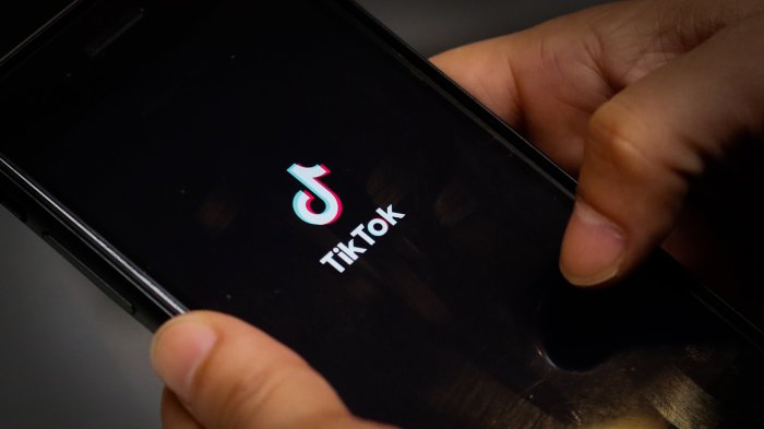 TikTok cerrará este domingo en Estados Unidos: ¿Cuál es el plan para los usuarios?