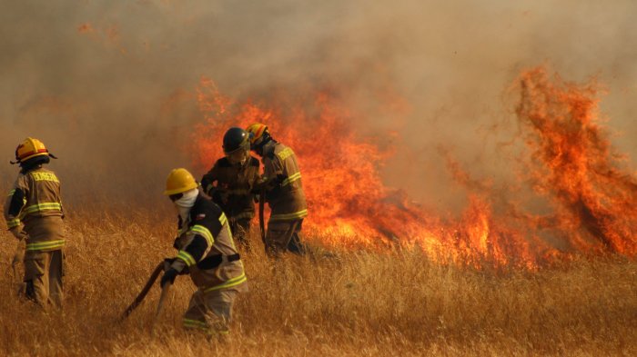 Mantienen Alerta Roja en San José de Maipo por voraz incendio forestal: Casi 100 hectáreas consumidas