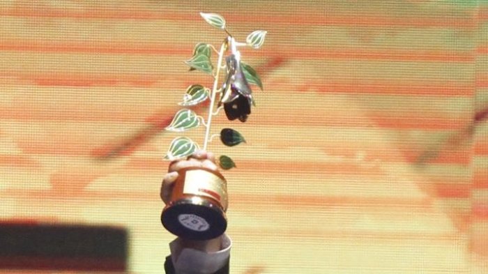 Copihue de Oro 2025: ¿Cómo y dónde votar?