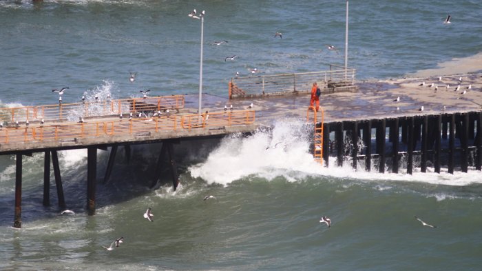 Alerta de marejadas entre el 23 y 25 de enero: Revisa qué regiones se verán afectadas