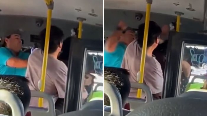 VIDEO | Chofer de micro golpeó a estudiante por pagar con su TNE en Viña del Mar