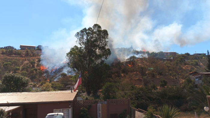 Incendio forestal en Villa Alemana: Senapred solicitó evacuar el sector Las Cabras