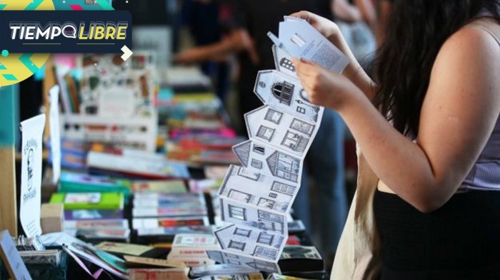 Biblioverano 2025: Conoce todas las actividades GRATUITAS para disfrutar en Santiago
