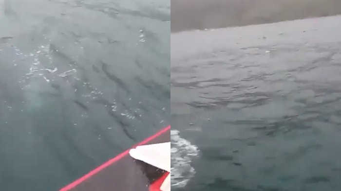 Emergencia en Osorno: Dos personas fallecieron y otras se encuentran desaparecidas tras naufragio de embarcación