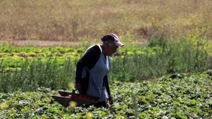 Bono al Trabajo de la Mujer: Revisa si lo recibes y la fecha de pago en enero