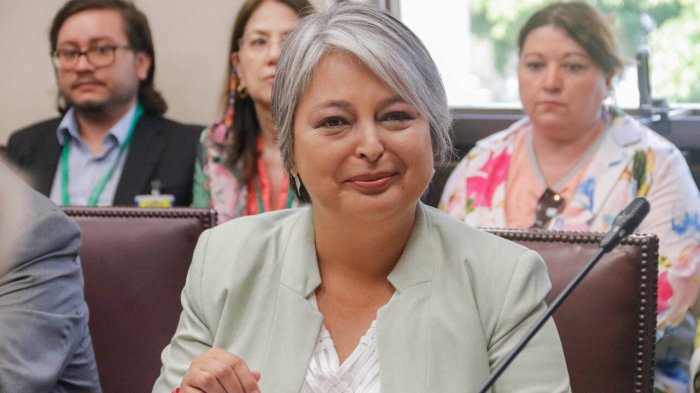 Ministra Jara respondió a carta de aseguradoras de EE.UU.: “Los afiliados no son propiedad de nadie”