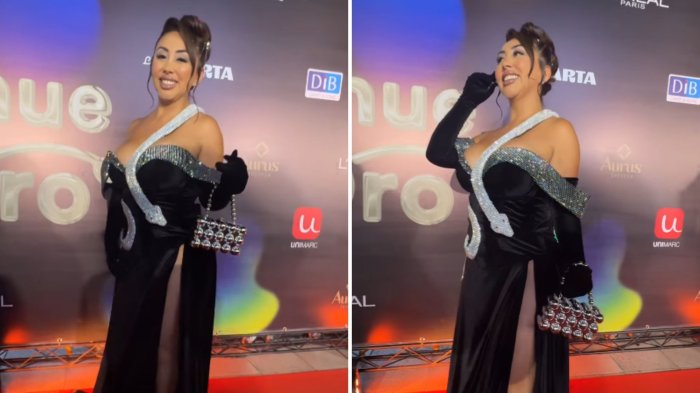 Copihue de Oro 2025: Este fue el impactante look de Naya Fácil en la alfombra roja