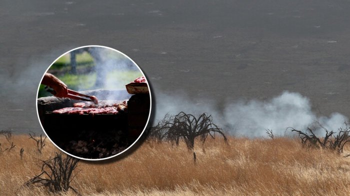 El proyecto para prohibir asados en días con altas temperaturas que evalúa el gobierno
