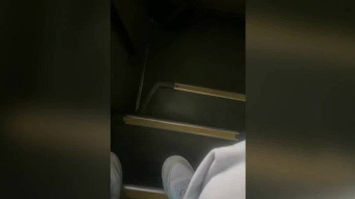 Mujer denunció haber viajado en las escaleras del bus que se trasladaba a Viña del Mar