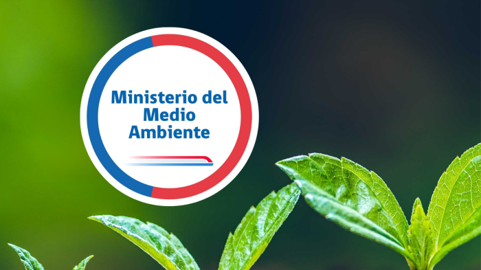 Ministerio del Medio Ambiente ofrece puestos de trabajo con sueldos de hasta $3 millones