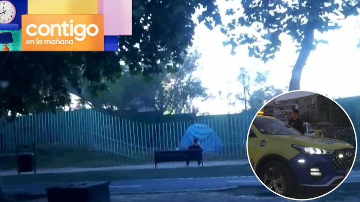 Rucos delictuales: Simulan ser indigentes para robar en tranquilo barrio de Providencia