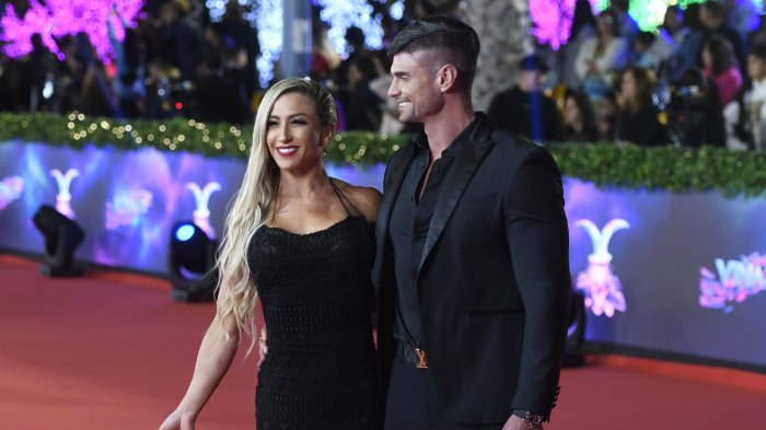 Gala del Festival de Viña 2025: Conoce acá la FECHA para comprar las entradas